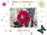 la fleur de mon coeur et la racine de ma vie